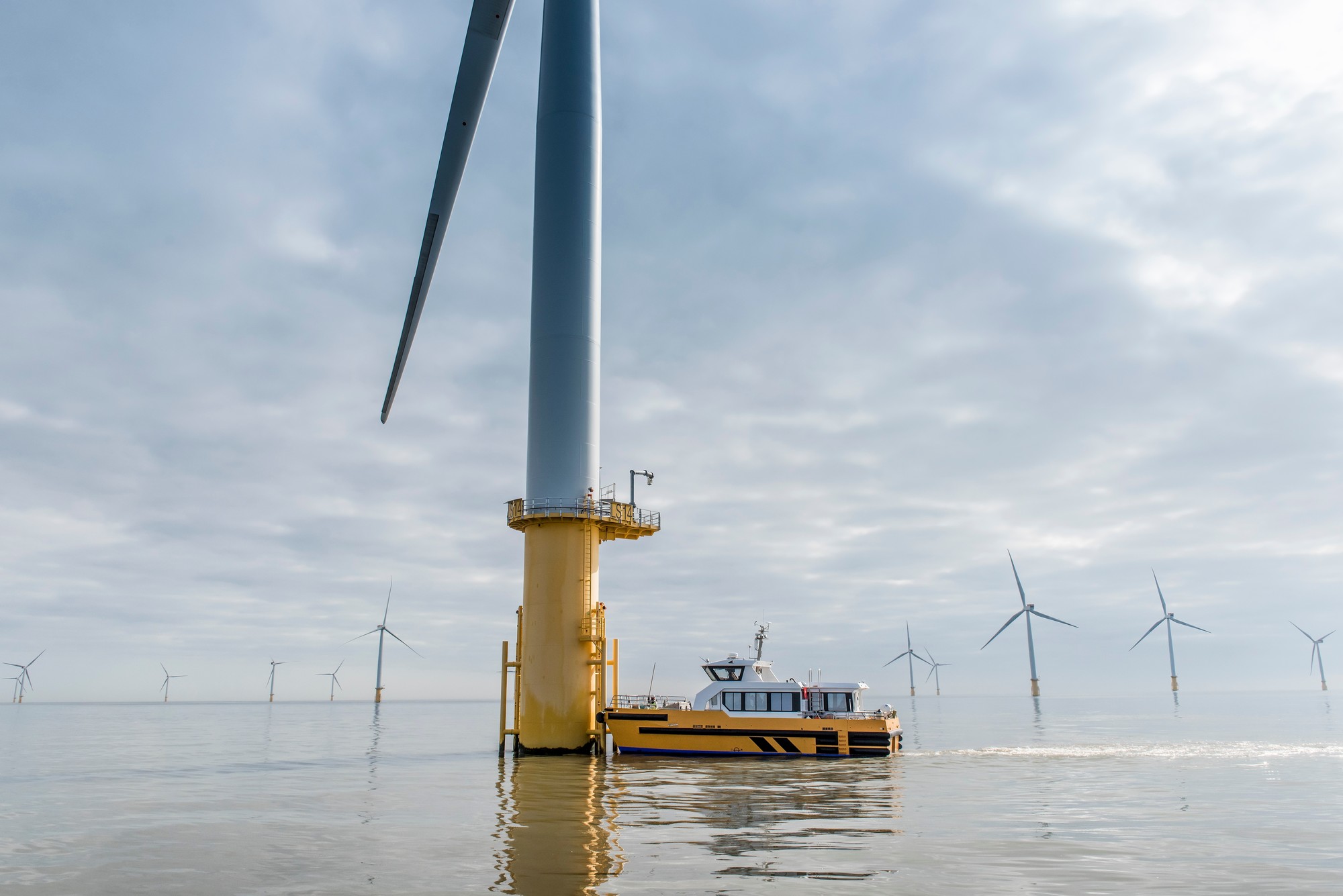Offshore Windfarm