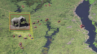Through Visual Profiler technology, SOCET GXP® utilizes remote satellite imagery to automatically detect and provide accurate counts of elephants while monitoring trends in herd sizes throughout the region.