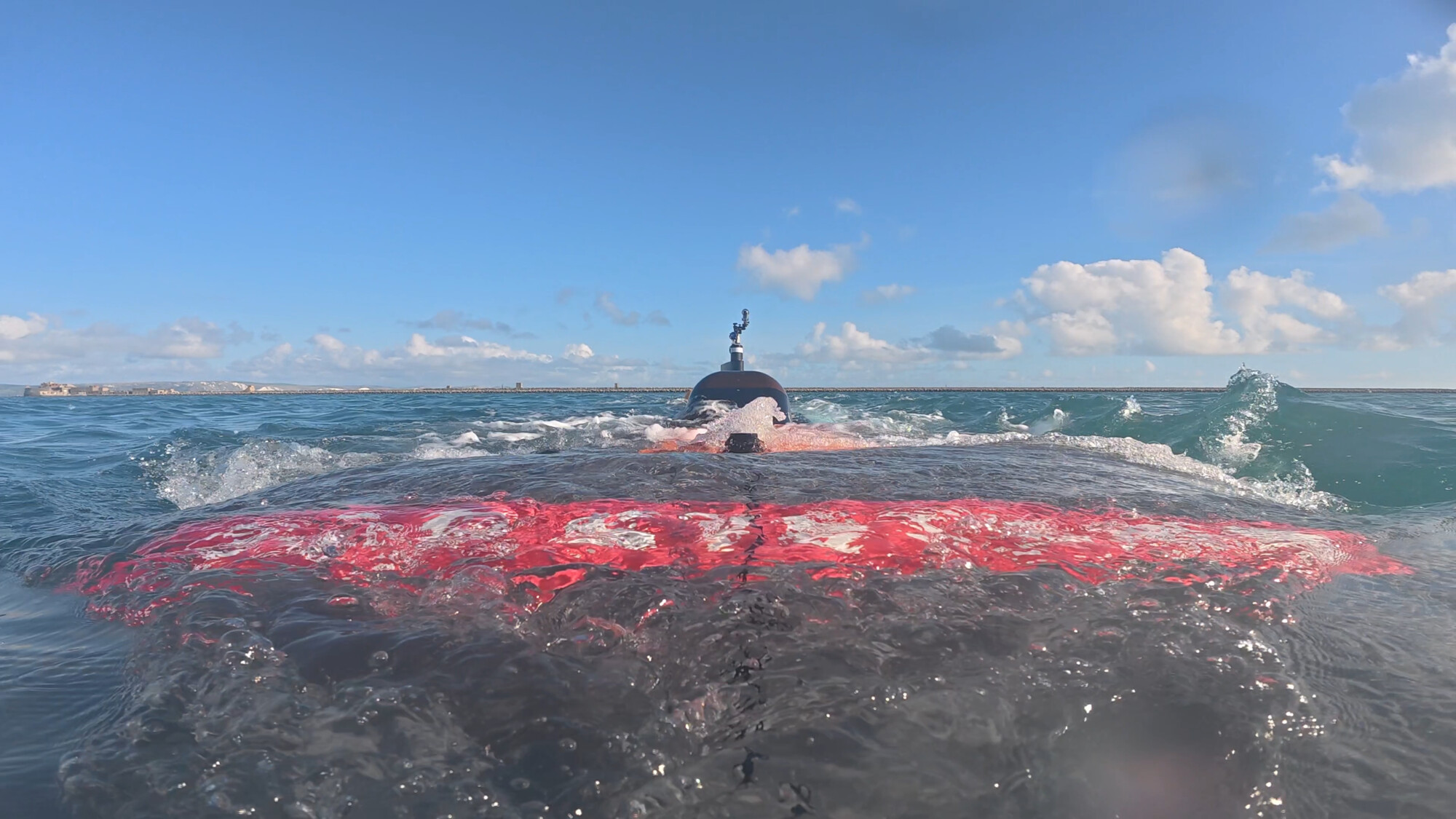 Image of Herne during a dive