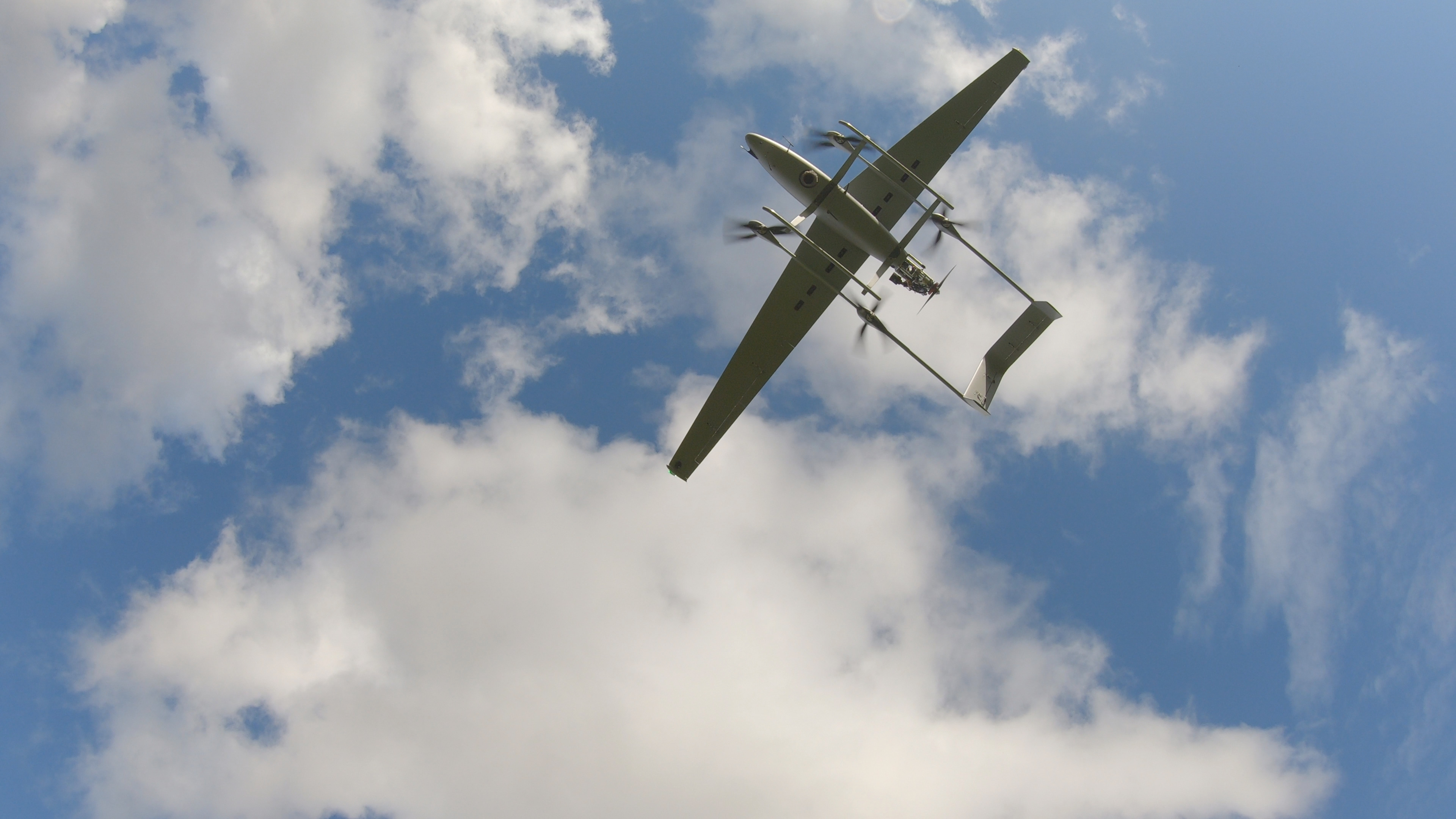 koios flying in the sky